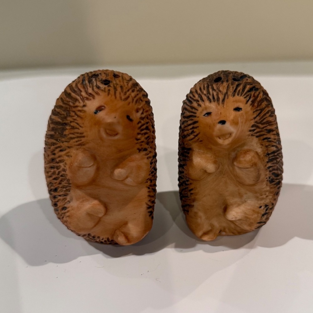 Hedgehog Salt and Pepper Shakers – Ceramic Woodland Animal Pair –‎ Cute